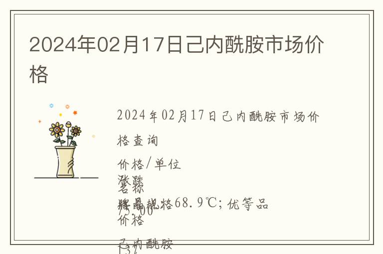 2024年02月17日己內酰胺市場價格