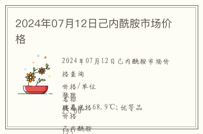 2024年07月12日己內酰胺市場價格