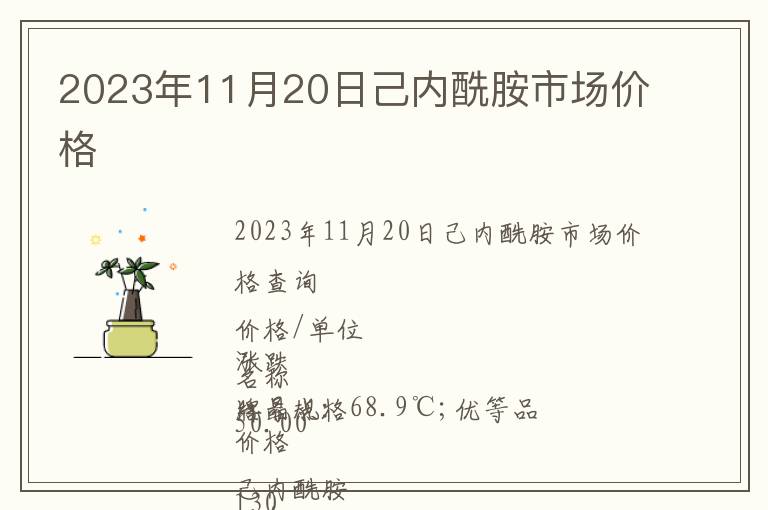 2023年11月20日己內(nèi)酰胺市場價格