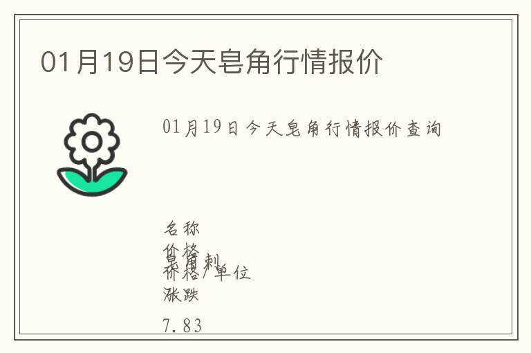 01月19日今天皂角行情報價
