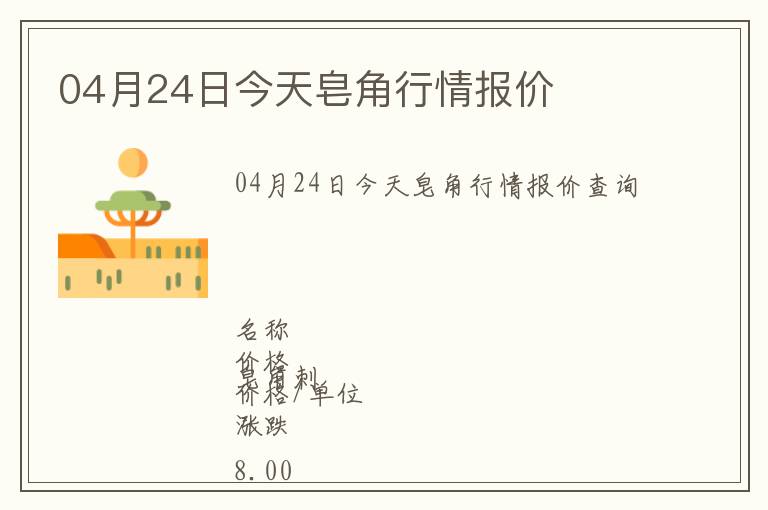 04月24日今天皂角行情報價