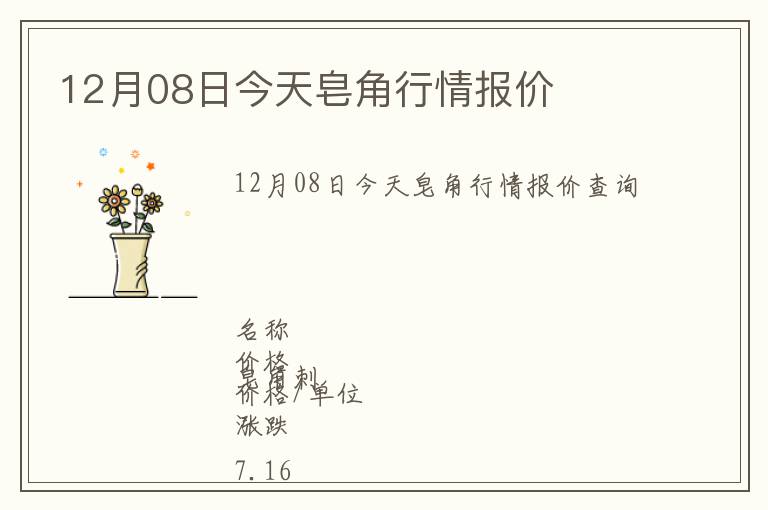 12月08日今天皂角行情報價